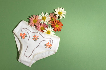 period panties